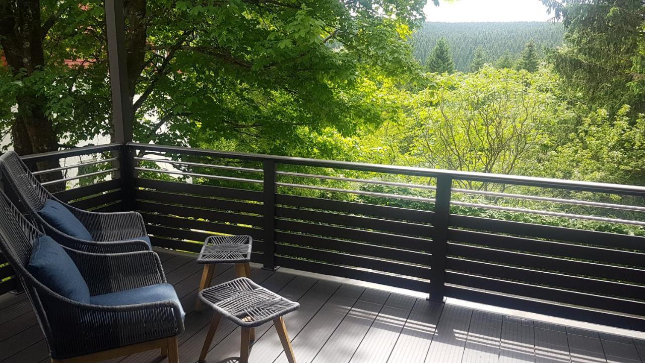Pension & Ferienwohnung Oberhof 810 M Экстерьер фото
